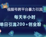 视频号跨平台高效引流攻略，轻松实现每日半小时，单日狂揽200+高价值创业粉丝！