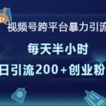 视频号跨平台高效引流攻略，轻松实现每日半小时，单日狂揽200+高价值创业粉丝！