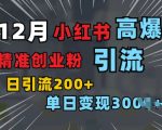 揭秘：一张小红书图片如何引发创业狂潮，单日狂揽200+精准创业粉，轻松筛选付费意识强的人群！