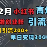 揭秘：一张小红书图片如何引发创业狂潮，单日狂揽200+精准创业粉，轻松筛选付费意识强的人群！