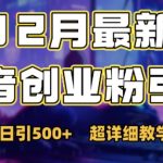 12月独家揭秘：轻松掌握抖音日引500+创业粉丝高效攻略！