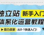 揭秘：从0到1，快速掌握独立站运营秘诀！新手卖家必看体系化教程，轻松开启电商之旅！