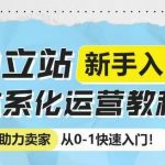 揭秘：从0到1，快速掌握独立站运营秘诀！新手卖家必看体系化教程，轻松开启电商之旅！
