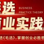 毛选商业实战秘籍：深度解读《毛选》，揭秘创业成功的终极密码！
