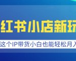 揭秘小红书小店新玩法：借助热门IP带货，新手小白月入过万不是梦！