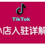 揭秘TIKTOK跨境小店运营终极攻略，轻松提升独立运营能力，实现销量翻倍增长！