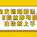 快手星火短剧搬运攻略，日赚千元不是梦，零粉丝也能轻松操作，新手必看【独家揭秘】