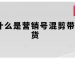 营销号混剪带货终极攻略：全方位揭秘内容创作到流量变现，轻松学会高效赚钱秘诀！