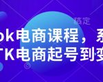 TikTok电商实战教程：从零基础快速起号到高效变现，掌握流量密码！