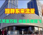 揭秘胖东来流量密码：3天猛增1万粉丝，收益翻倍飙升！