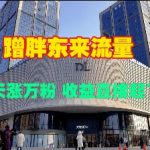 揭秘胖东来流量密码：3天猛增1万粉丝，收益翻倍飙升！