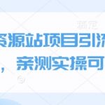 小淘资源站终极引流秘籍，实操验证高效吸粉策略！