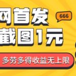 全网独家揭秘：1块钱轻松截图赚钱，每分钟一单，劳动致富，收益无限放大！