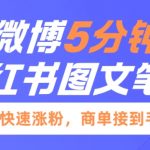 小红书爆款攻略：5分钟微博图文笔记速成法，粉丝暴涨，商机无限！