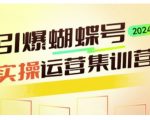 蝴蝶号运营秘籍大揭秘：深度实战攻略，轻松引爆流量，快速变现不是梦！