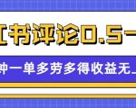 小红书评论赚钱攻略：0.5元/条，1分钟快速赚钱，无限收益等你来拿！