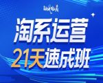 2025年必看！抢跑电商界，淘系运营21天速成班第35期，年前绝不容错过的赚钱机遇！