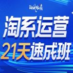 2025年必看！抢跑电商界，淘系运营21天速成班第35期，年前绝不容错过的赚钱机遇！