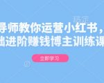揭秘：金牌导师亲授小红书运营秘籍，从0基础变身赚钱博主，独家训练课程限时开放！
