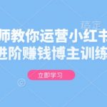 揭秘：金牌导师亲授小红书运营秘籍，从0基础变身赚钱博主，独家训练课程限时开放！