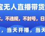 淘宝无人直播带货终极秘籍8.0版，零违规技术革新，稳赚不封号，小白也能轻松上手，开播即赚，日入过千不是梦！