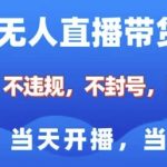 淘宝无人直播带货终极秘籍8.0版，零违规技术革新，稳赚不封号，小白也能轻松上手，开播即赚，日入过千不是梦！