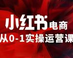 小红书电商运营攻略：97节独家VIP内训课程，轻松掌握小红书赚钱秘诀！