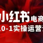小红书电商运营攻略：97节独家VIP内训课程，轻松掌握小红书赚钱秘诀！