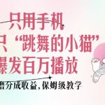 手机短视频轻松破百万播放！揭秘“跳舞小猫”如何狂揽分成收益，保姆级教程助你一炮而红！
