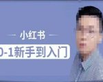 小红书电商速成攻略：零基础快速精通，揭秘小红书运营核心法则，精准把握用户画像！