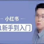 小红书电商速成攻略：零基础快速精通，揭秘小红书运营核心法则，精准把握用户画像！