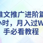 小说推广高手秘籍：每天投入1小时，轻松月入过万，新手逆袭攻略必读！