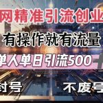 全网独家秘籍：轻松创业引流，日引500+精准粉丝，账号安全无忧，告别封号困扰！