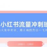 2025年小红书流量飙升秘籍！揭秘最懂小红书女性的成功法则，快速掌握2025年小红书赚钱攻略！