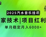 2025年火爆汽水音乐挂机项目，揭秘独家最新技术，轻松月入6000+，抓住红利期赚翻天！