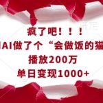 AI逆天技能展示：猫咪大厨烹饪秀爆红网络，200万播放量见证奇迹，日入千元不是梦！