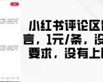 小红书评论狂赚攻略：1元轻松发帖，无限量接单，轻松赚钱无压力！