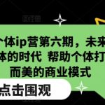 超级个体IP训练营第六季火爆开启！抢占未来时代风口，教你打造独家小而美商业模式，成就非凡自我！