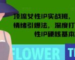 顶流女性IP孵化秘籍：轻松突破亿级流量，情绪营销引爆点，打造硬核女性IP必备基本功！