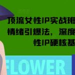 顶流女性IP孵化秘籍：轻松突破亿级流量，情绪营销引爆点，打造硬核女性IP必备基本功！