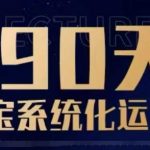 90天彻底掌握淘宝运营秘诀，从新手小白到高手精通的蜕变之旅！