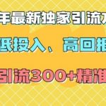 2025年揭秘！独家引流策略：低成本也能日引300+精准创业粉丝，实现高回报！