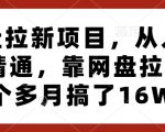 网盘拉新项目实战教程：从新手到高手，3个月轻松赚取16万收益！