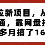网盘拉新项目实战教程：从新手到高手，3个月轻松赚取16万收益！