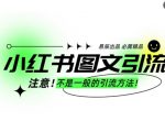 小红书独家秘籍：轻松日引300+创业粉，图文引流稳定高效，批量操作助力创业成功！