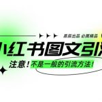 小红书独家秘籍：轻松日引300+创业粉，图文引流稳定高效，批量操作助力创业成功！