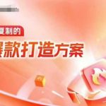天猫独家揭秘：电商爆款运营秘籍，轻松复制顶级爆款打造策略（线下内训录音+精准字幕）