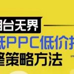 揭秘：独家超低PPC策略，实现低成本流量狂潮！掌握最新低价扫流技巧，万相台无界低价扫流实战全解析！