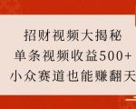 揭秘财富密码：一条视频狂赚500+，揭秘小众领域的暴利赚钱秘诀！