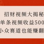 揭秘财富密码：一条视频狂赚500+，揭秘小众领域的暴利赚钱秘诀！